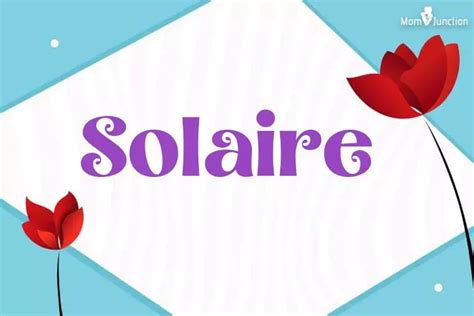 solaire meaning in english
